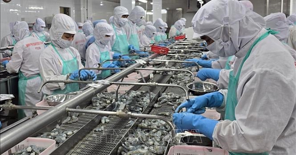 Tạo đà cho xuất khẩu thủy sản năm 2025 tăng trưởng từ 10-15%