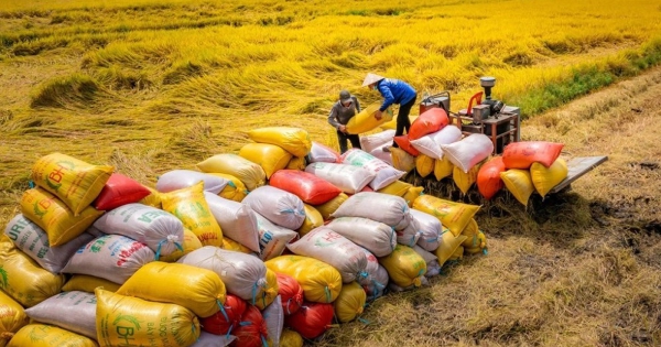 Vinafood II đặt kế hoạch lãi trăm 2 năm liên tiếp