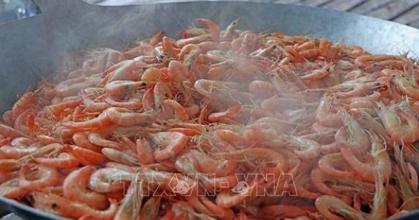 Gần Tết, giá đặc sản tôm khô Cà Mau tăng kỷ lục