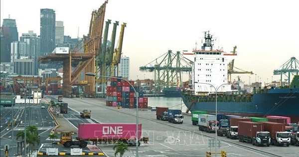 Thương mại Việt Nam - Singapore tăng trưởng trên 15%
