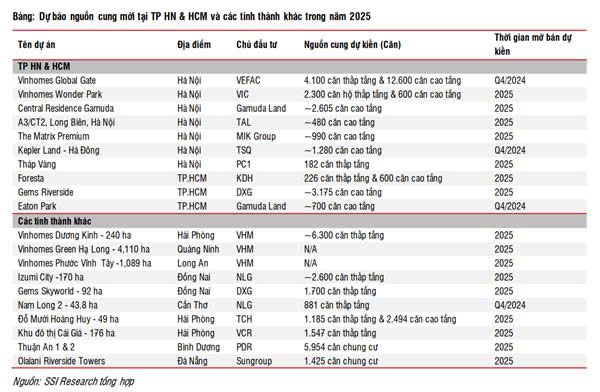 Tâm điểm thị trường 03/01/2025: Bất động sản 2025 - Chờ đợi hồi phục