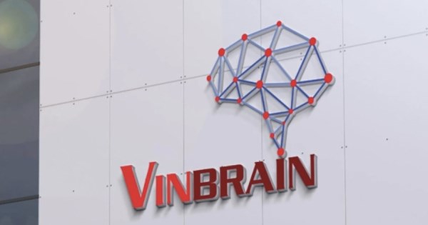 Sau khi 'chia tay' tỷ phú Phạm Nhật Vượng: VinBrain công bố Chủ tịch mới, thay đổi loại hình công ty