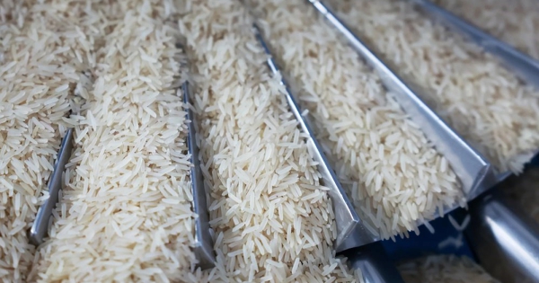 Giá gạo châu Á giảm xuống mức thấp nhất trong một thập kỷ