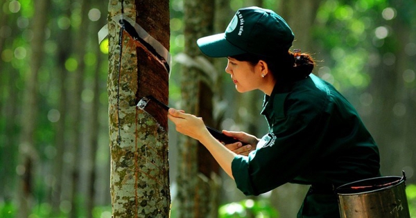 Một doanh nghiệp ước lãi 9 tháng tăng 96% so với cùng kỳ