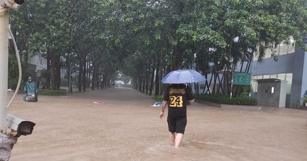 Cục Thuế hướng dẫn hỗ trợ thuế cho doanh nghiệp, hộ kinh doanh bị thiệt hại do bão, lũ