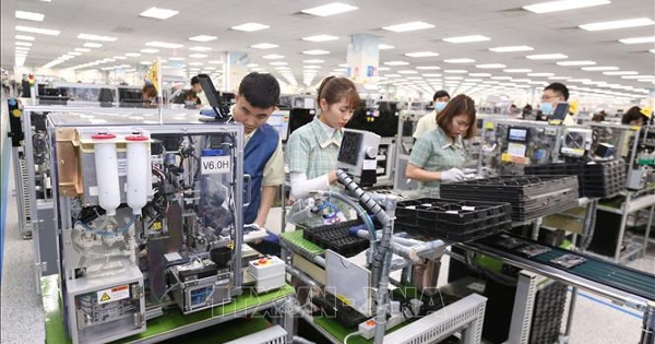 Kinh tế tư nhân trụ cột kiến tạo động lực tăng trưởng mới - Bài 4