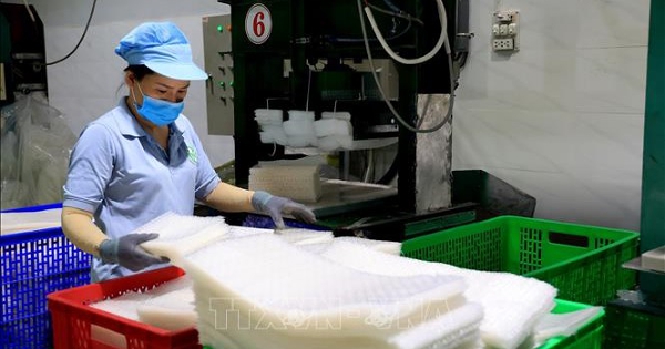 Kinh tế tư nhân trụ cột kiến tạo động lực tăng trưởng mới - Bài cuối