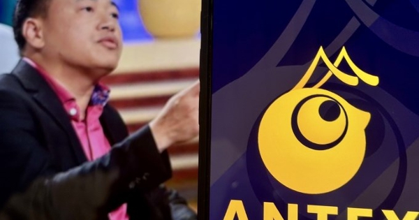 Dự án tiền số AntEx liên quan Shark Bình hoạt động ra sao?