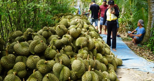 Trung Quốc chi hơn một tỷ USD mua rau quả Việt trong tháng 9