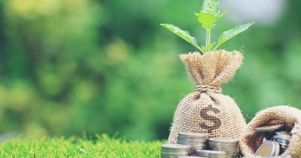 Loạt doanh nghiệp chốt quyền chia cổ tức trong tuần tới, tỷ lệ cao nhất 330%