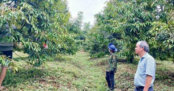 HAGL tiếp tục lãi lớn, sớm vượt 18% kế hoạch năm