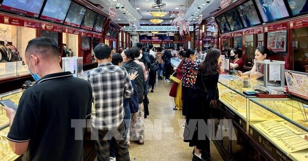 Giá vàng biến động mạnh: Cảnh báo rủi ro tâm lý đám đông