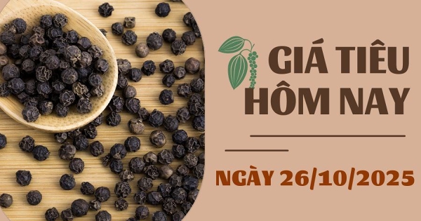 Giá tiêu hôm nay 26/10: Nguồn cung từ Brazil tăng mạnh kéo giá tiếp tục giảm trong tuần qua