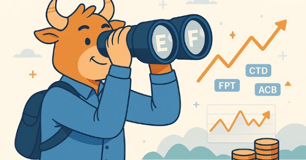 CTD, FPT vào tầm ngắm ETF trong kỳ cơ cấu cuối năm, nhóm ngân hàng gặp áp lực