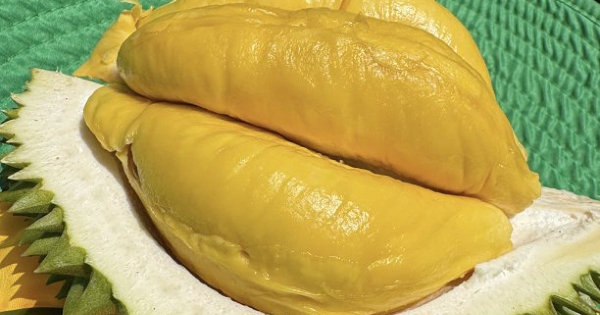 Việt Nam tăng xuất khẩu rau quả sang Đài Loan