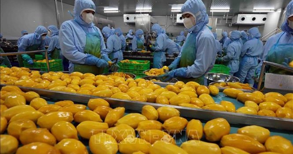 Thu thêm hàng chục tỉ đô nếu nâng tầm giá trị nông sản Việt