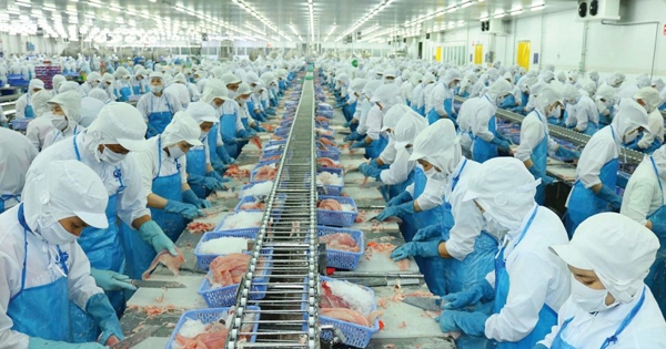 Lợi nhuận Vĩnh Hoàn tăng vọt, tất toán gần hết danh mục chứng khoán