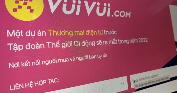 Shopee quá lớn, làm thế nào để các sàn thương mại điện tử tại Việt Nam cạnh tranh lại?