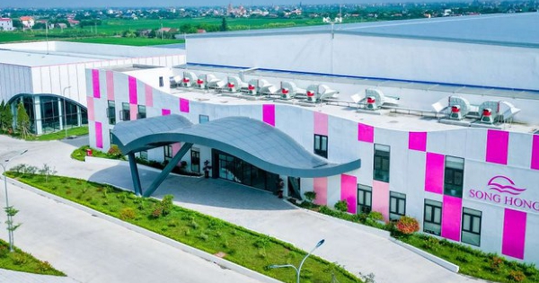 May Sông Hồng tính dùng gần hết lợi nhuận 9 tháng để tạm ứng cổ tức 40%