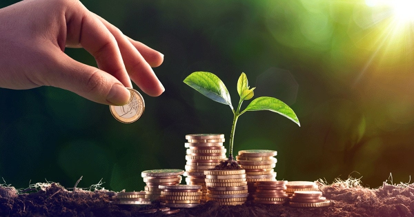 Loạt doanh nghiệp chốt quyền chia cổ tức tiền mặt tuần tới, tỷ lệ cao nhất 80%