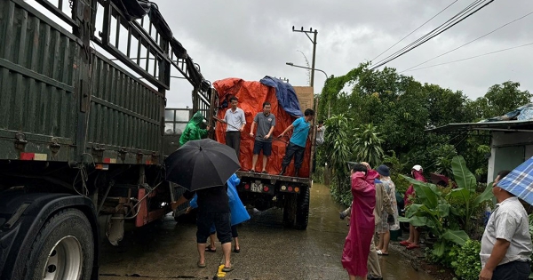 Dự trữ Nhà nước hoàn tất kế hoạch nhập kho 500.000 tấn lương thực năm 2025