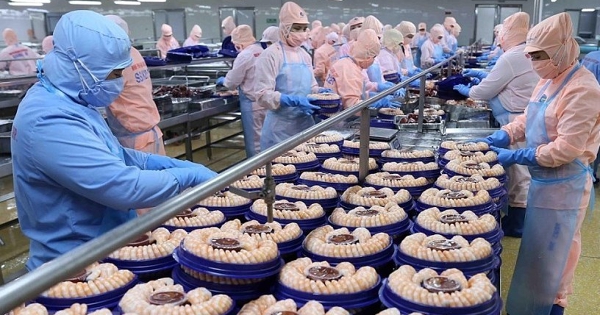 Xuất khẩu thuỷ sản hướng tới mốc 11 tỷ USD năm 2025