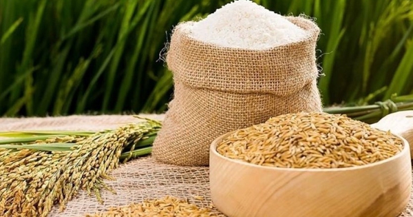 Giá gạo xuất khẩu giảm nhẹ do nhu cầu yếu