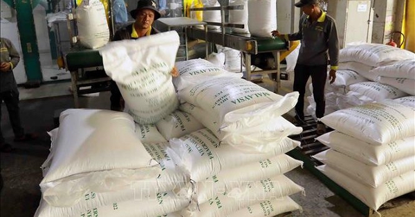 Nhu cầu gạo từ thị trường châu Á giảm, doanh nghiệp tích cực chuyển hướng thị trường