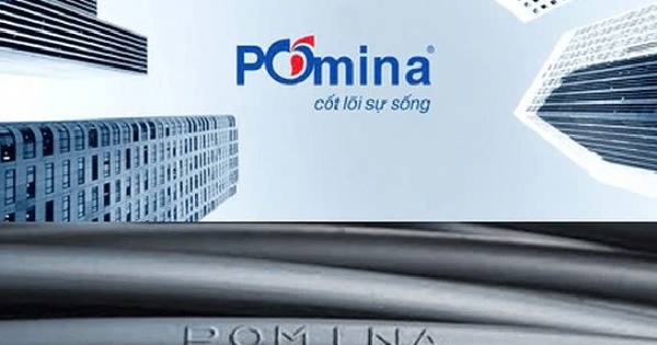 Pomina triệu tập họp cổ đông bất thường, bàn phương án tái cấu trúc