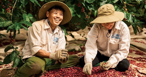 Cà phê Việt Nam phá kỷ lục xuất khẩu nhưng đối mặt đà giảm giá