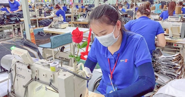 Vinatex ước lãi hơn 1.300 tỷ đồng năm 2025