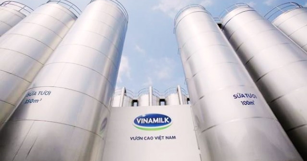 F&N dự chi hơn 6.000 tỷ đồng mua 4,6% cổ phần Vinamilk từ Jardine Cycle & Carriage