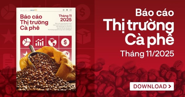 [Báo cáo] Thị trường cà phê tháng 11/2025: Giá cà phê giảm mạnh vì nguồn cung tăng lên