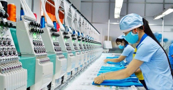 UBCKNN đình chỉ kiểm toán viên ký BCTC 2024 của Garmex Sài Gòn