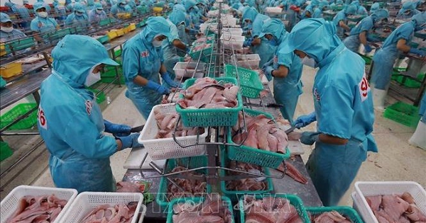 Brazil tuyên bố khởi động đàm phán PTA Mercosur với Việt Nam