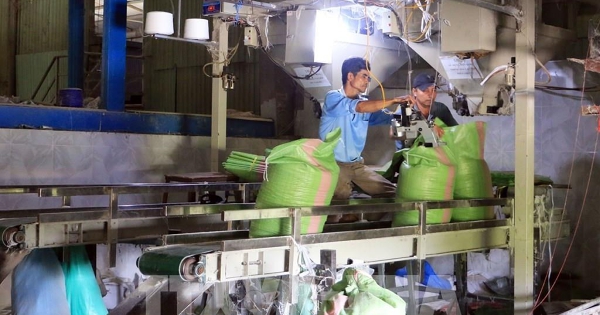 Giá gạo xuất khẩu tăng nhờ nhu cầu một số thị trường ấm lên