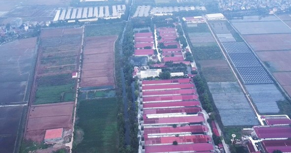 Dabaco đầu tư Cụm công nghiệp Lạc Vệ từ tháng 6/2026