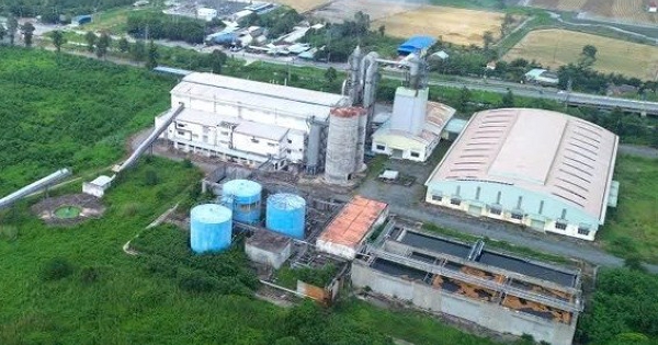 Quốc hội bàn phương án xử lý Nhà máy Bột giấy Phương Nam