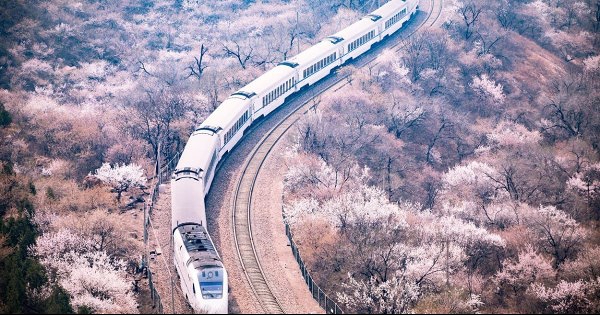 Trung Quốc xây dựng mạng lưới tàu dành riêng cho du khách cao tuổi để giữ bánh xe kinh tế tiếp tục lăn