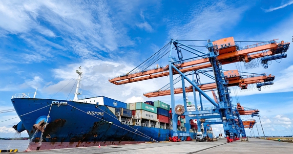 Lãnh đạo Gemadept: Việc thoái vốn mảng cao su phải được hoàn thành vào năm 2025