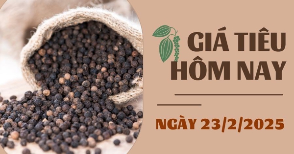Giá tiêu hôm nay 23/2: Tăng tuần thứ ba liên tiếp, cao nhất 162.000 đồng/kg