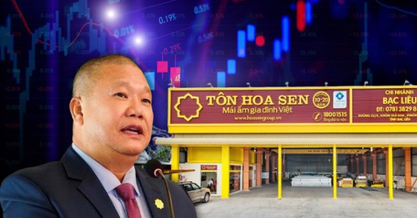 Tiềm lực tài chính của Hoa Sen trước quyết định mua lại lượng lớn cổ phiếu