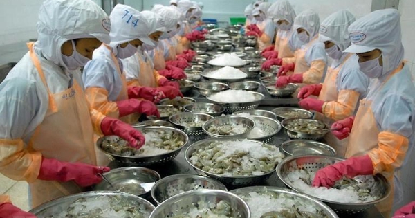 Xuất khẩu tôm tăng mạnh trong tháng đầu năm 2025