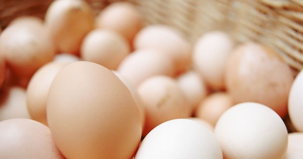 Chuyện lạ có thật: Đạo tặc ở Mỹ không trộm vàng bạc mà ăn cắp 100.000 quả trứng