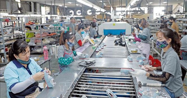 Mục tiêu tăng trưởng 8% trở lên: Chiến lược thị trường vượt rào cản thương mại mới