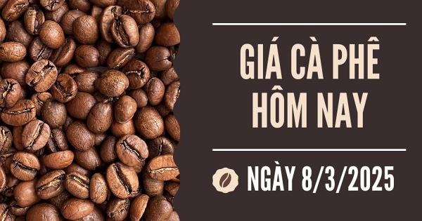 Giá cà phê hôm nay 8/3: Giảm ba ngày liên tiếp, giá cà phê xuống dưới 130.000 đồng/kg