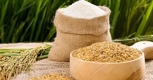 USDA: Sản lượng gạo toàn cầu đạt kỷ lục nhờ sản lượng tăng mạnh tại Ấn Độ