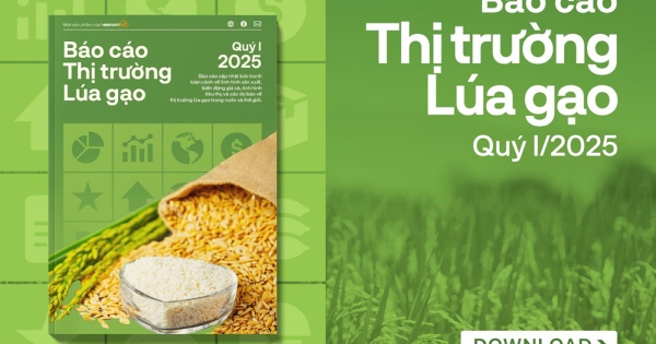 [Báo cáo] Thị trường gạo quý I/2025: Giá gạo vẫn ở mức thấp trong thời gian tới?