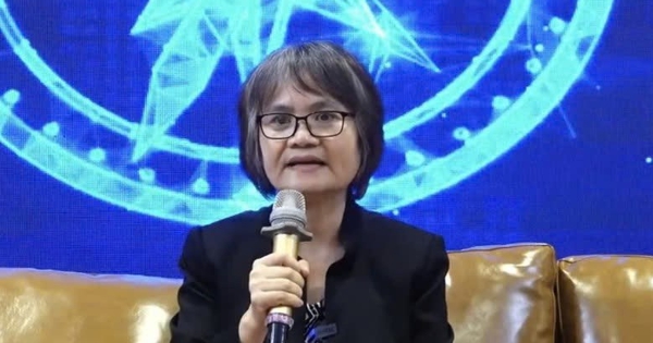 VNDirect cắt giảm 1/3 nhân sự so với thời kỳ đỉnh cao, Chủ tịch Phạm Minh Hương đưa ra cảnh báo