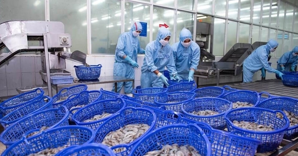 Xuất khẩu nhiều vào thị trường Mỹ, lợi nhuận Sao Ta rơi về đáy 4 năm